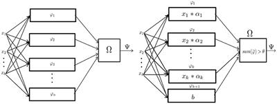 Signal Perceptron: On the Identifiability of Boolean Function Spaces and Beyond